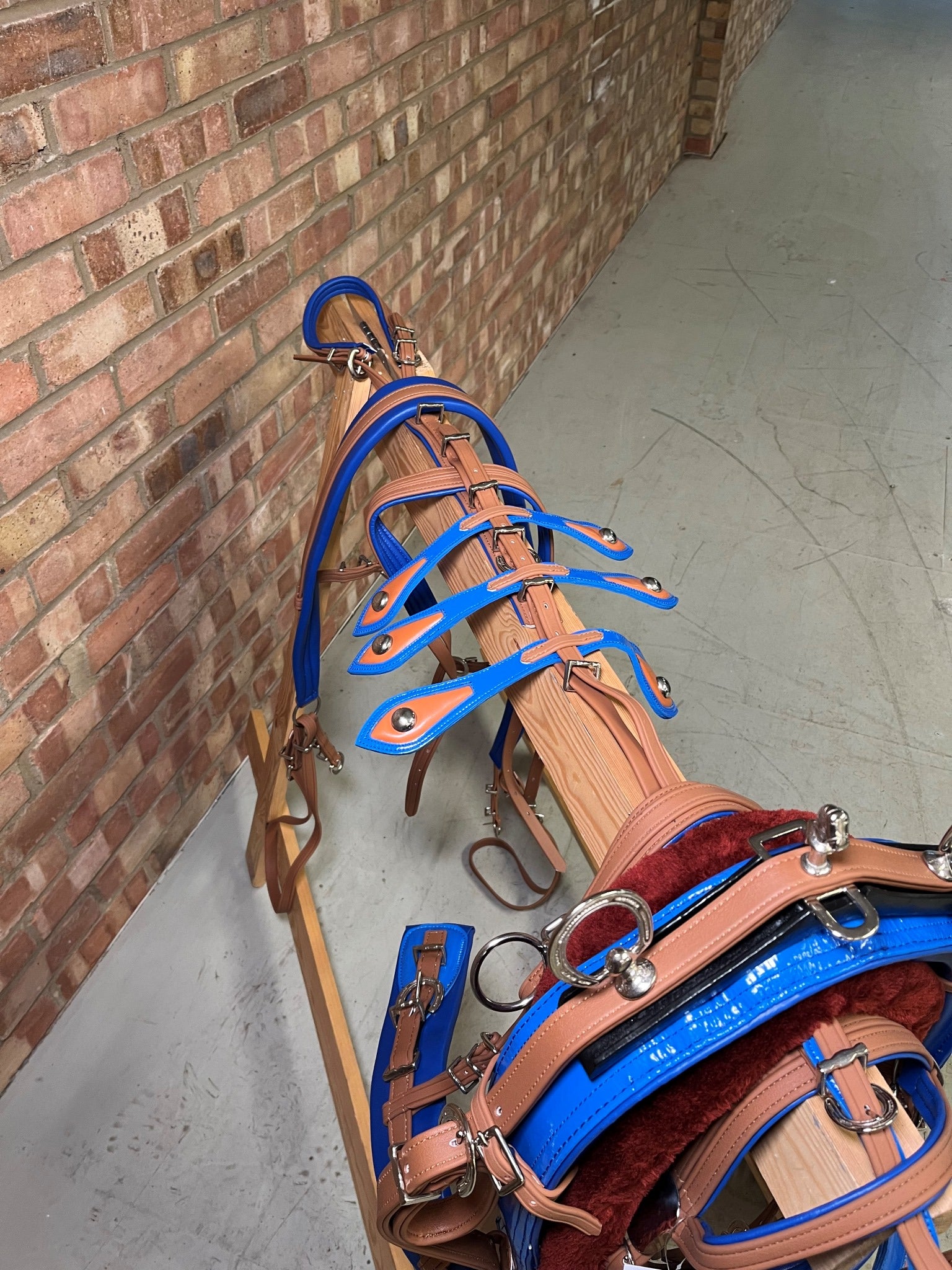 A brown and blue breeching harness for ponies horses and shetland