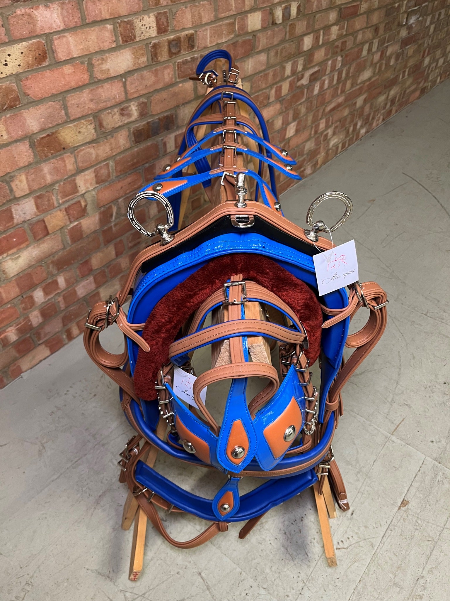 A brown and blue breeching harness for ponies horses and shetland