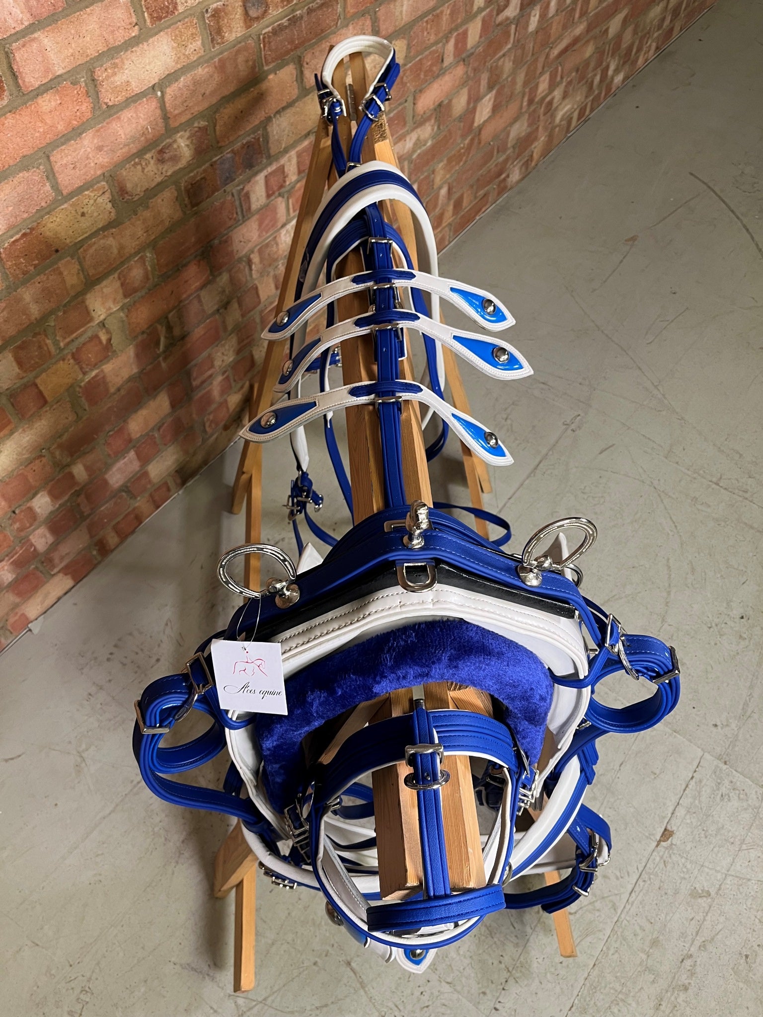 A horse biothane harness with blue straps and white padding