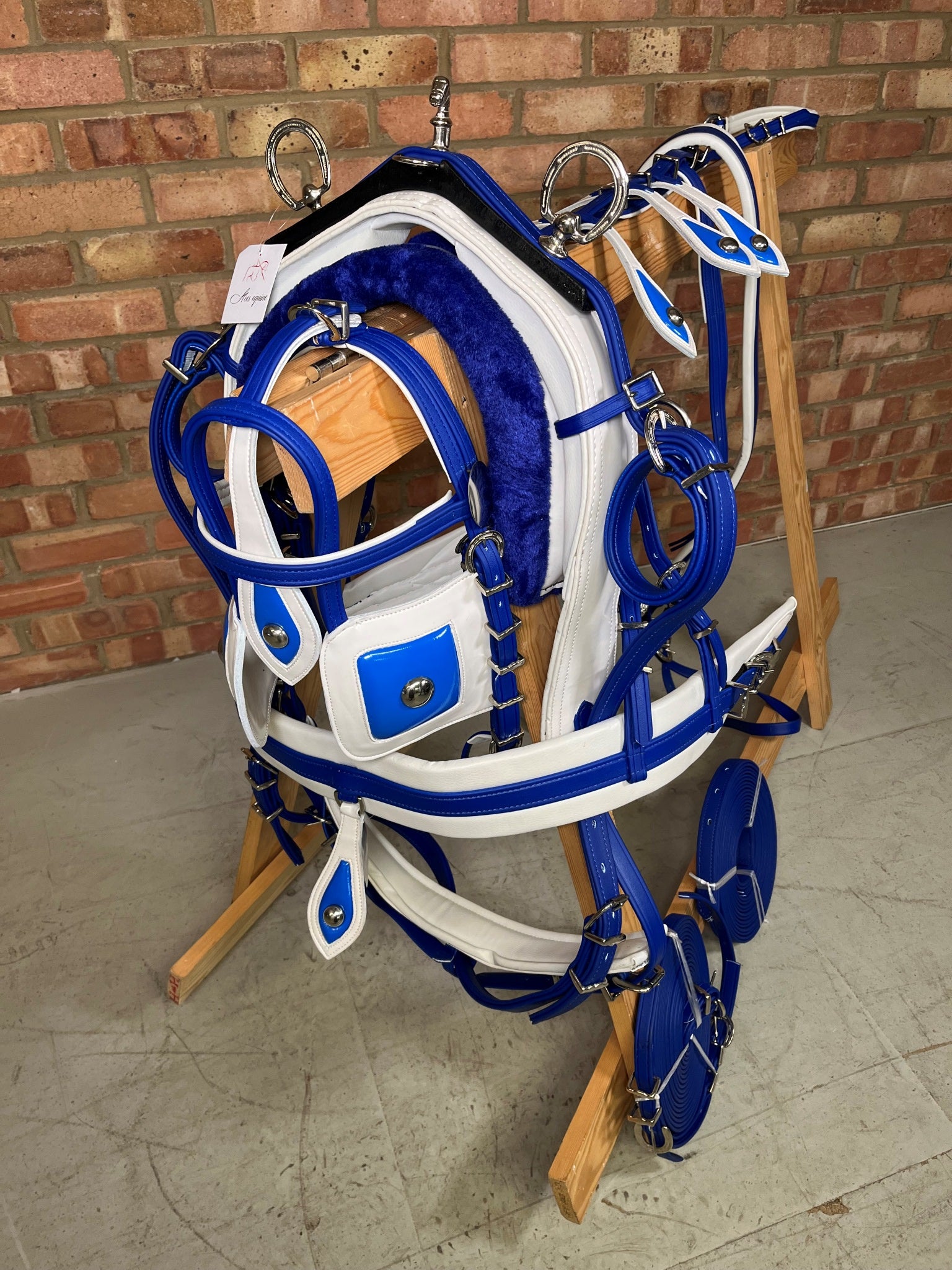 A horse biothane harness with blue straps and white padding
