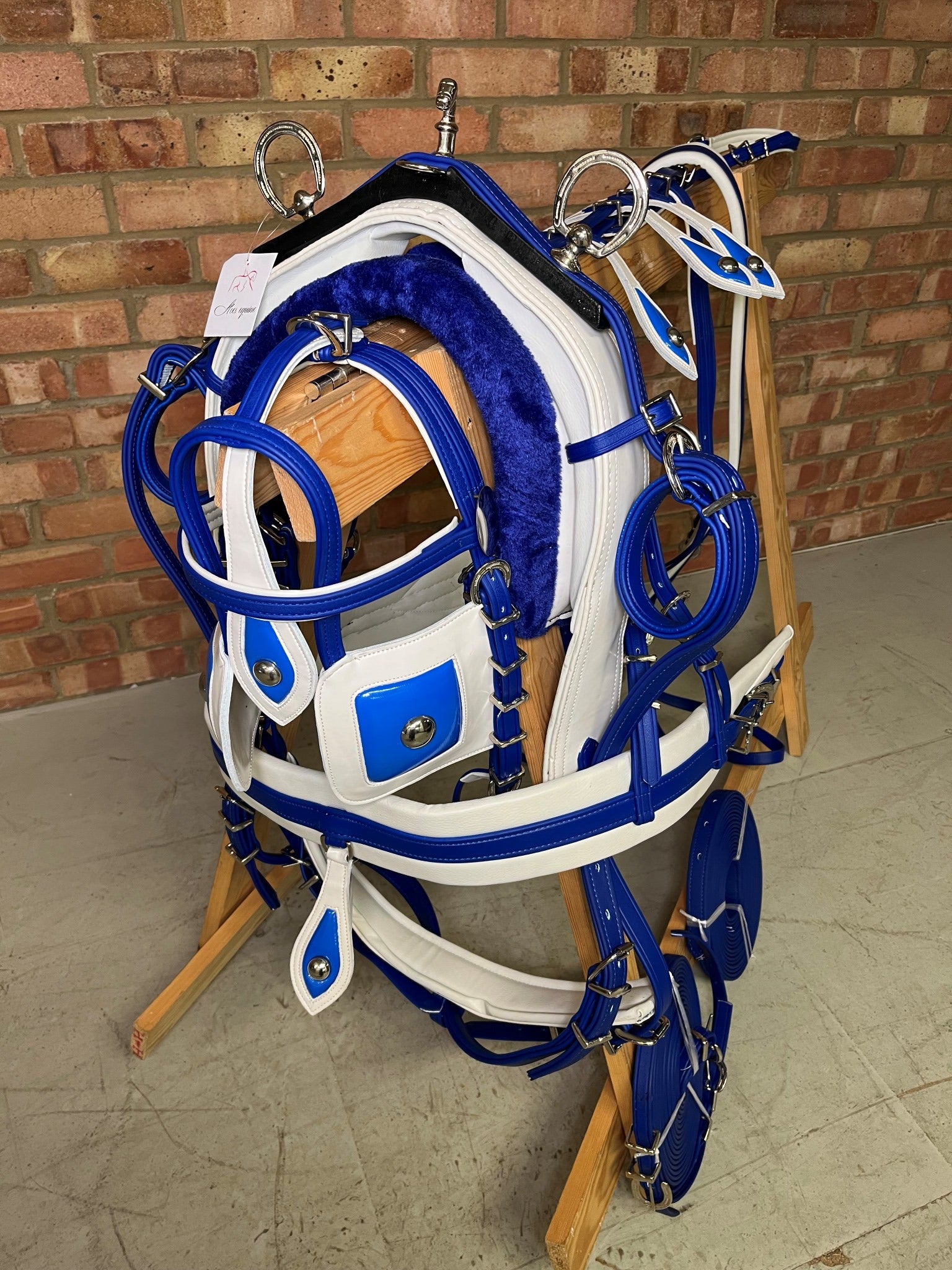 A horse biothane harness with blue straps and white padding
