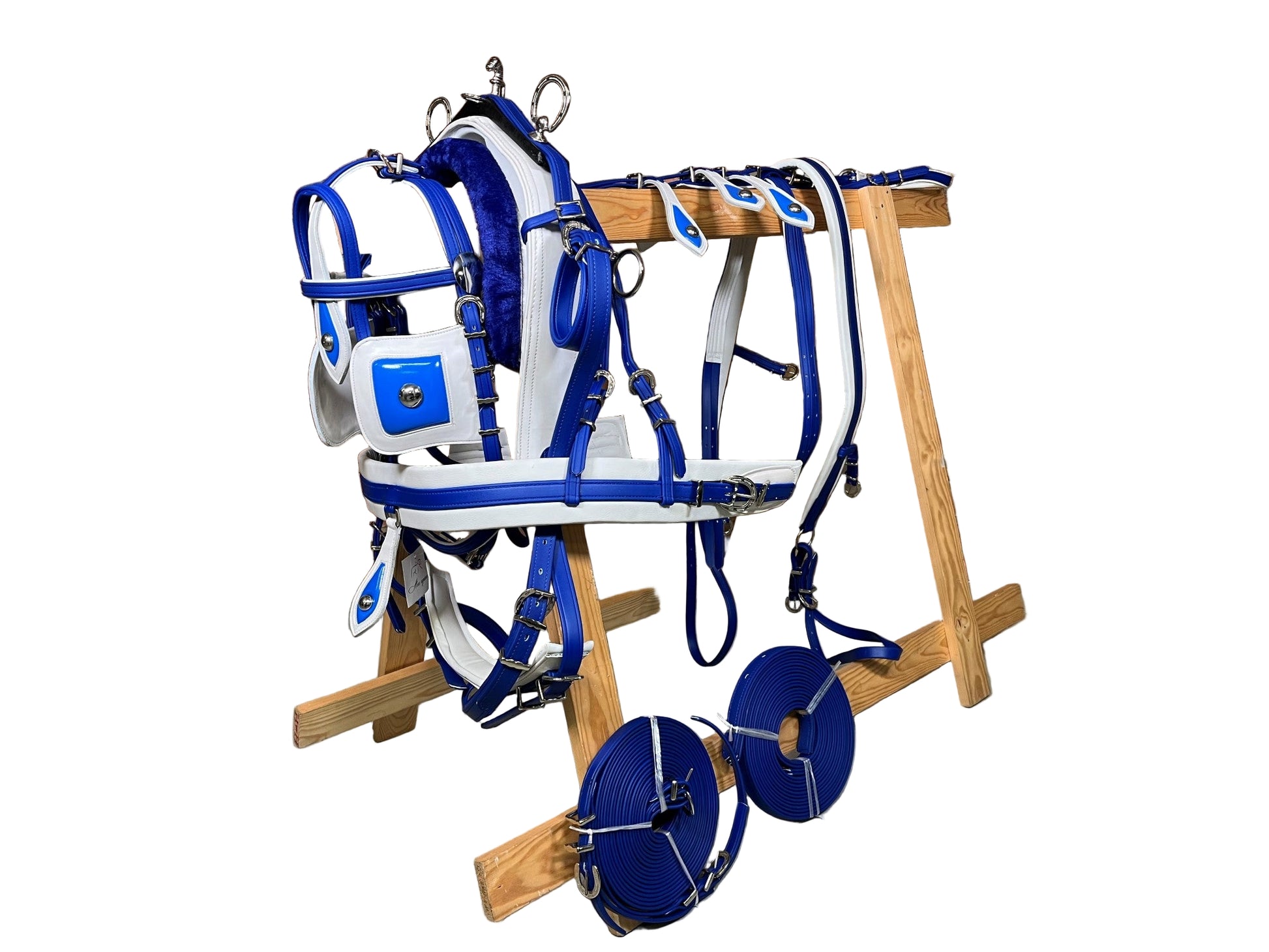 A horse biothane harness with blue straps and white padding