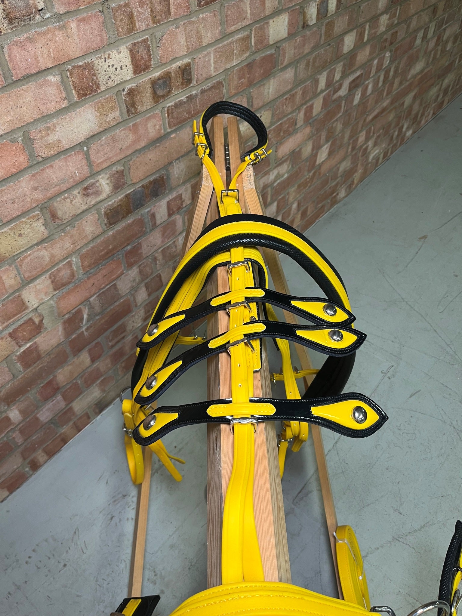 A yellow and black breeching harness with soft bio-thane padding, horse shoe buckle, and square winkers