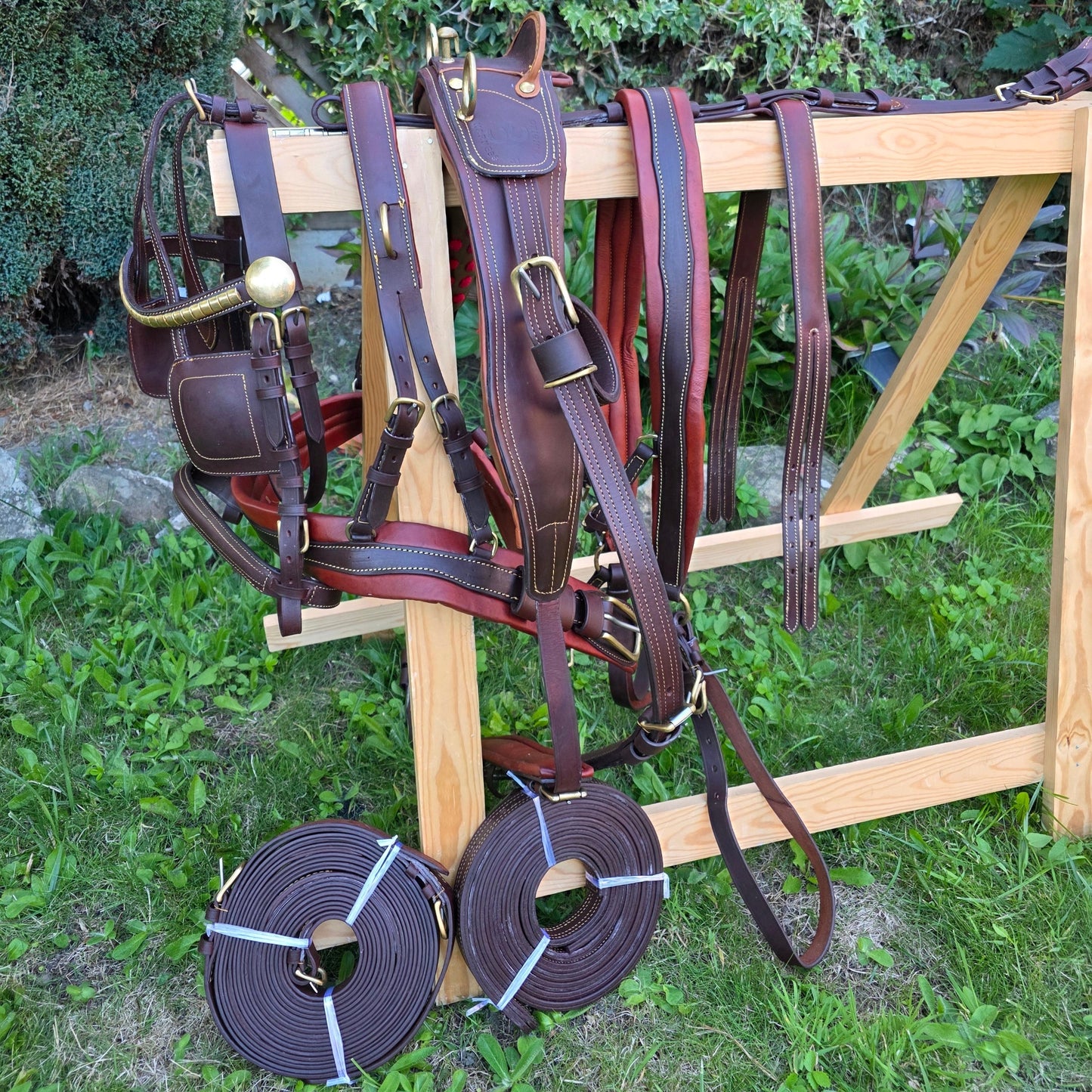 Brown Leather Driving Maltese Harness size X-full Full Cob and Pony