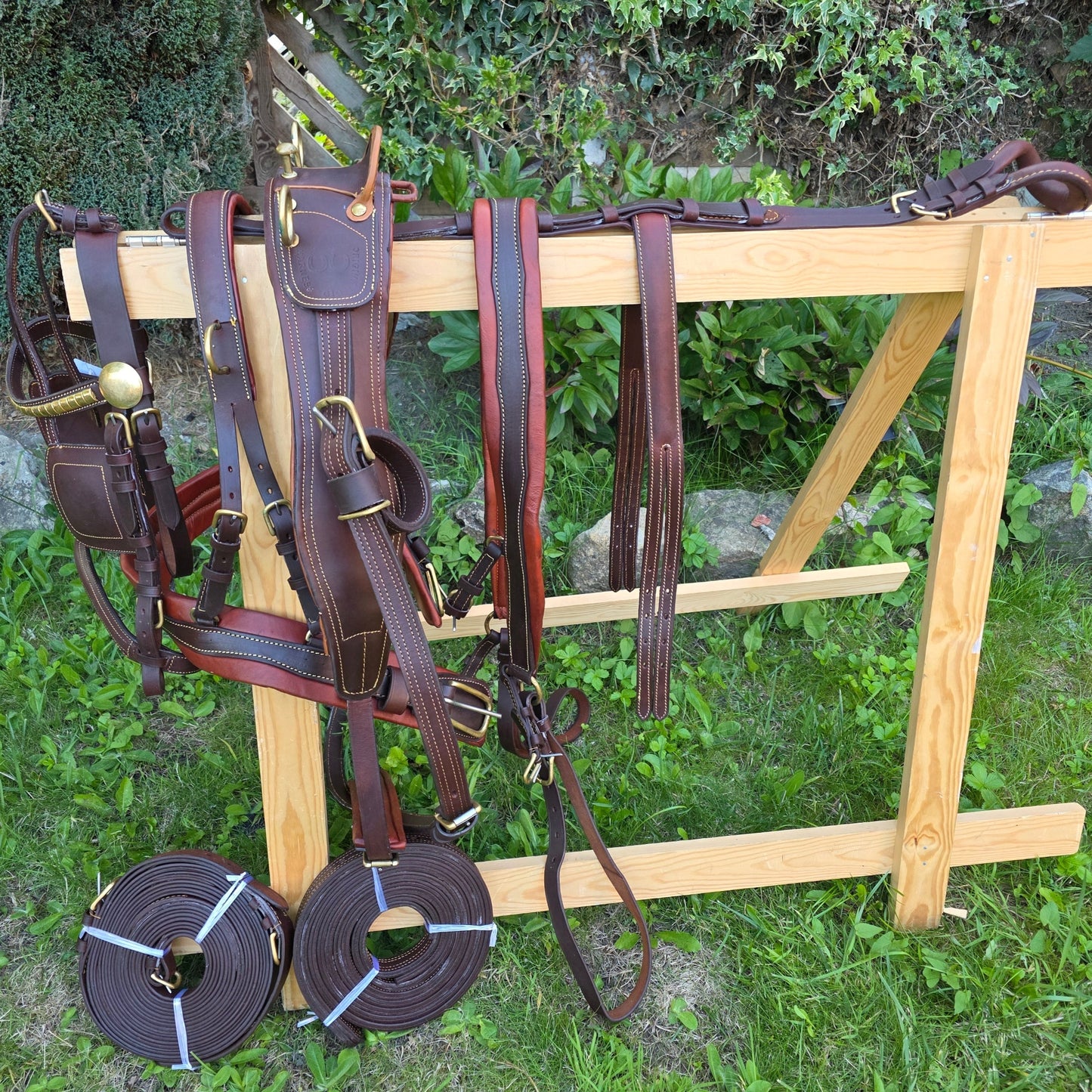 Brown Leather Driving Maltese Harness size X-full Full Cob and Pony