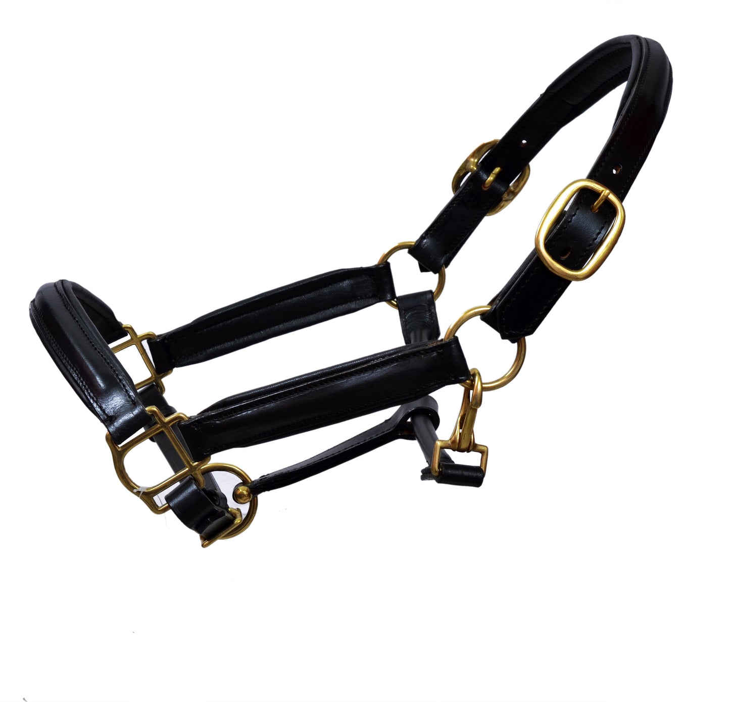 Premium Black Leather Horse Headcollar Raised Padded with Brass Plated Nickel Fittings