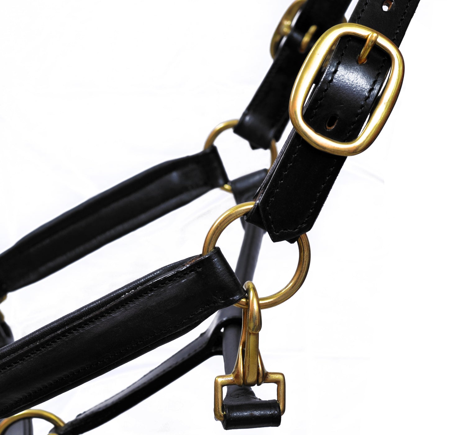 Premium Black Leather Horse Headcollar Raised Padded with Brass Plated Nickel Fittings