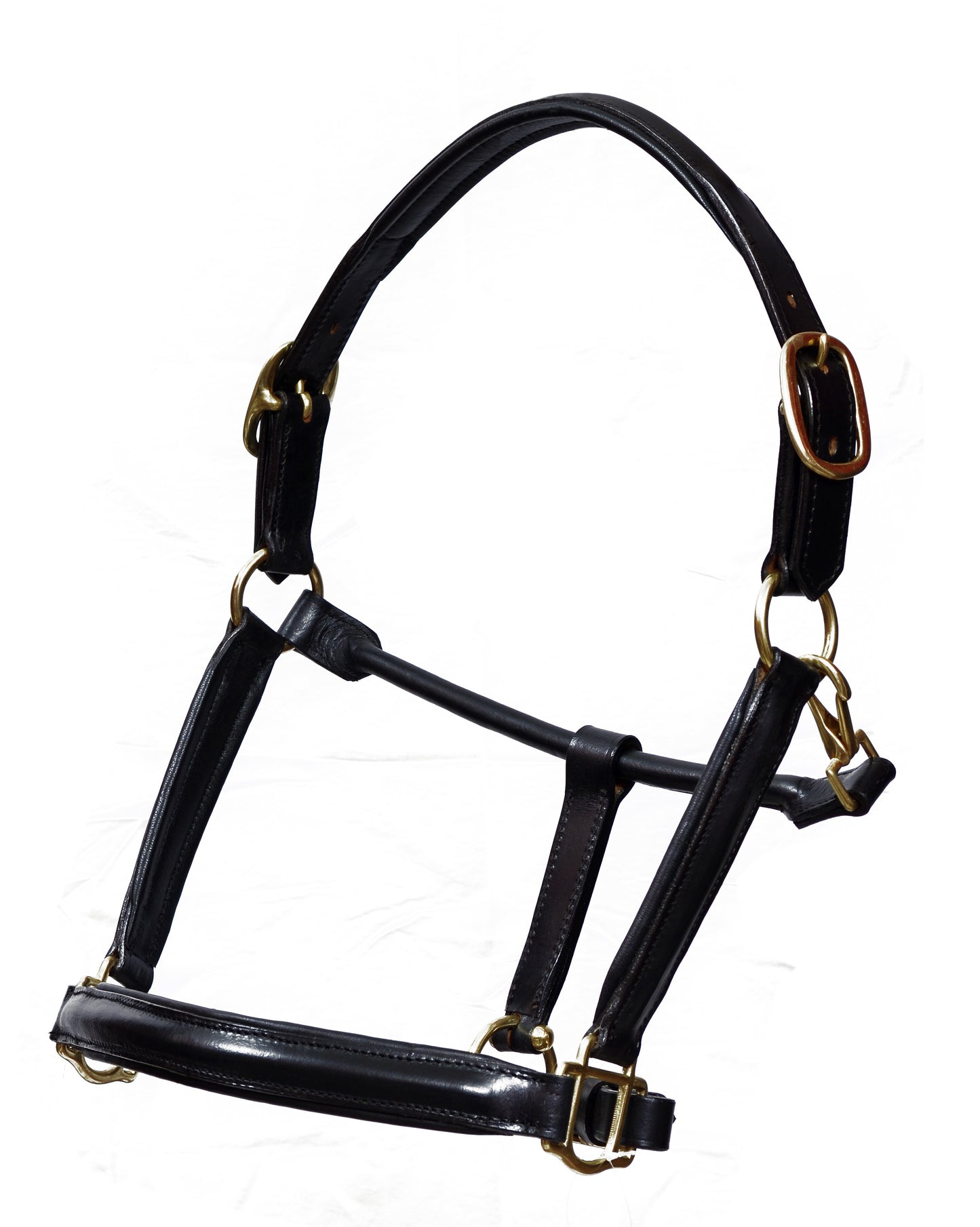 Premium Black Leather Horse Headcollar Raised Padded with Brass Plated Nickel Fittings