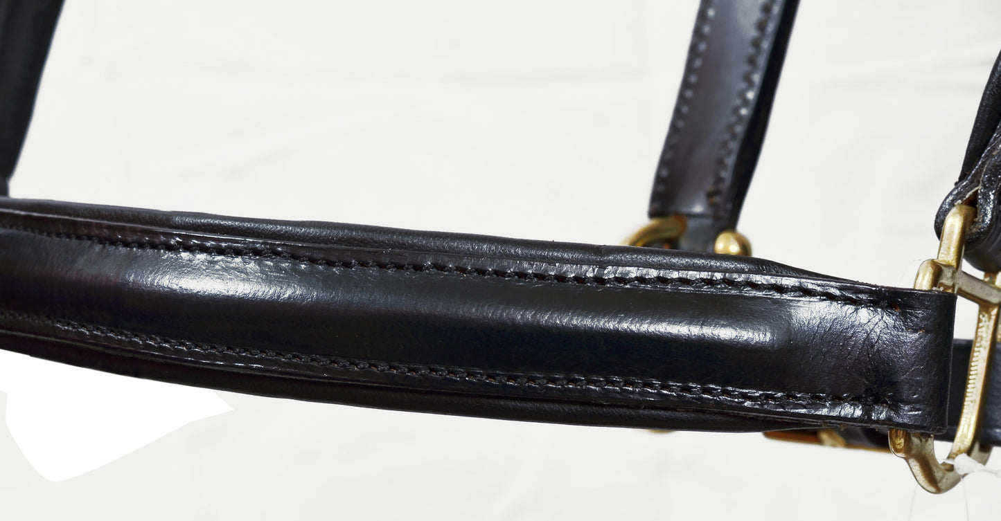 Premium Black Leather Horse Headcollar Raised Padded with Brass Plated Nickel Fittings
