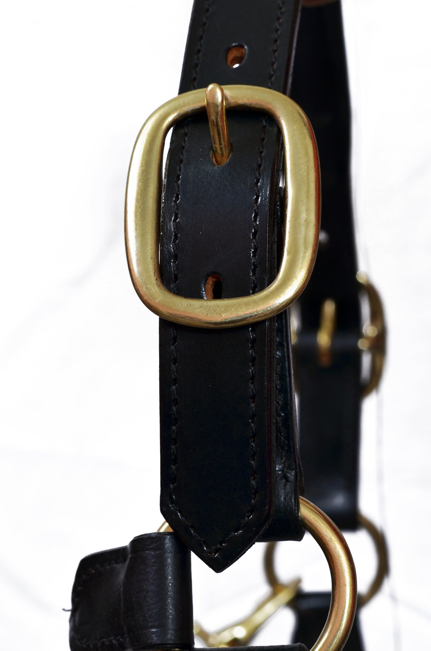 Premium Black Leather Horse Headcollar Raised Padded with Brass Plated Nickel Fittings