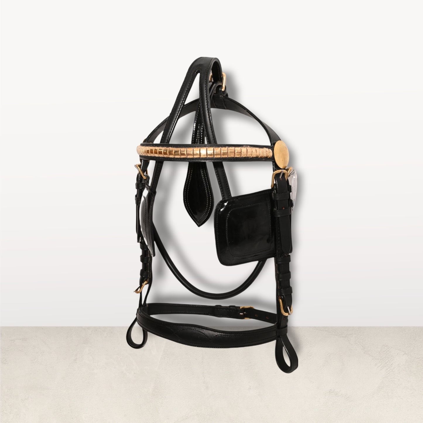 Leather Driving Bridle Black with Brass Fitting