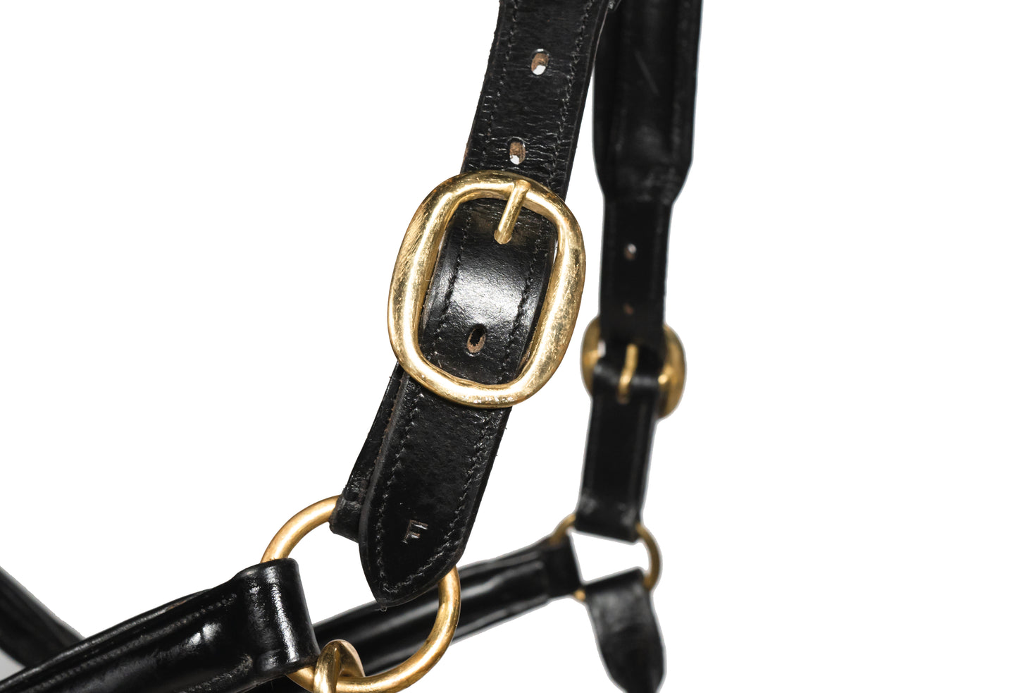 Leather Horse Headcollar Raised Padded Halter with Nickel Fittings Comfortable Black Pony Cob Full