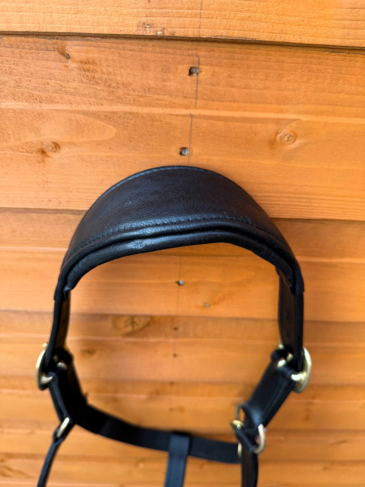 Luxury Handcrafted Leather Horse Halter Headcollar Anatomical Design with Solid Brass Accents And Soft Padding Black Color