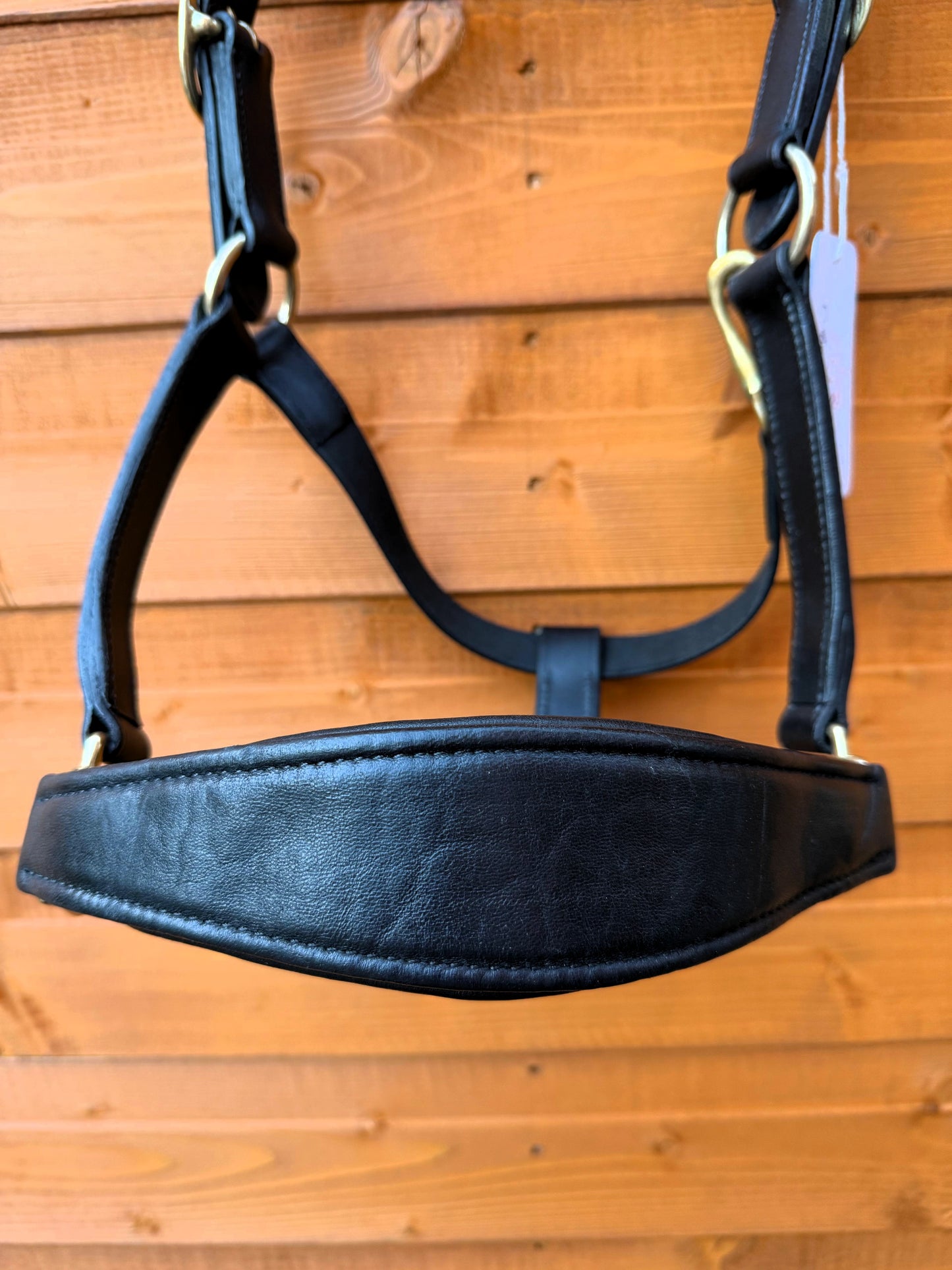 Luxury Handcrafted Leather Horse Halter Headcollar Anatomical Design with Solid Brass Accents And Soft Padding Black Color