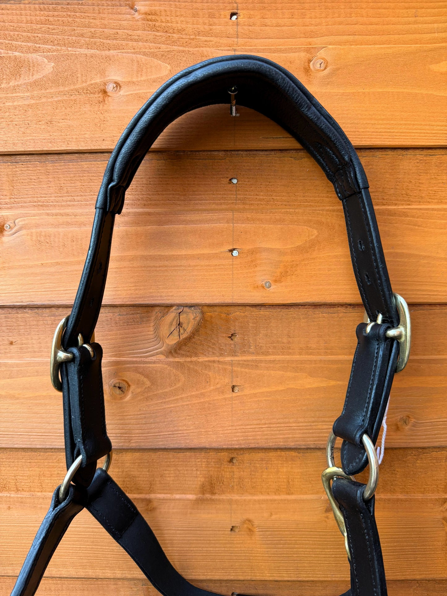 Luxury Handcrafted Leather Horse Halter Headcollar Anatomical Design with Solid Brass Accents And Soft Padding Black Color