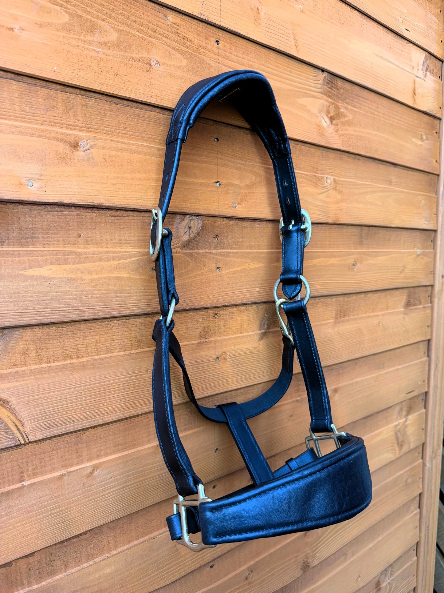 Luxury Handcrafted Leather Horse Halter Headcollar Anatomical Design with Solid Brass Accents And Soft Padding Black Color