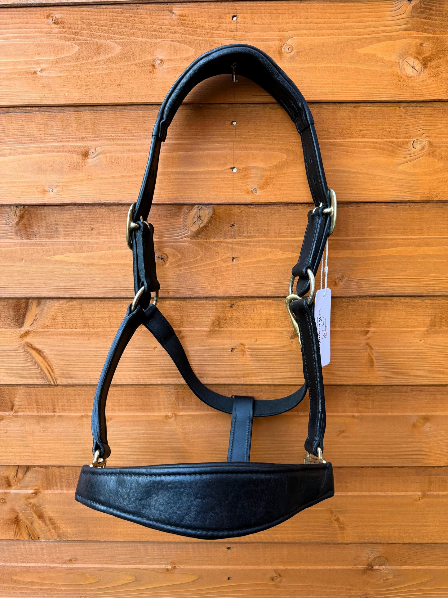 Luxury Handcrafted Leather Horse Halter Headcollar Anatomical Design with Solid Brass Accents And Soft Padding Black Color