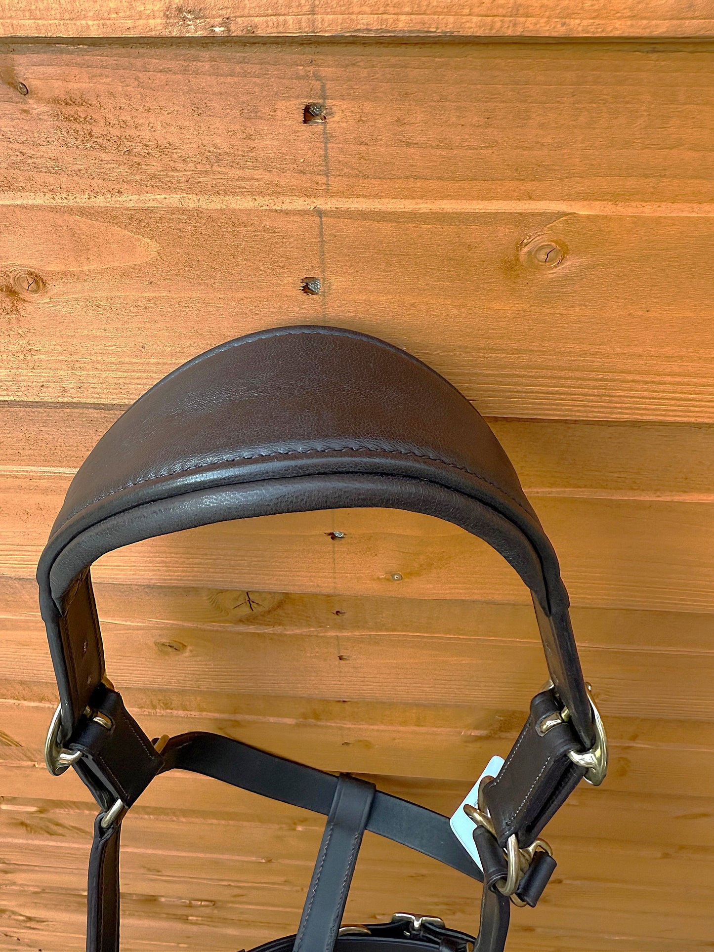 Luxury Handcrafted Leather Horse Halter Headcollar Anatomical Design with Solid Brass Accents And Soft Padding Brown Color