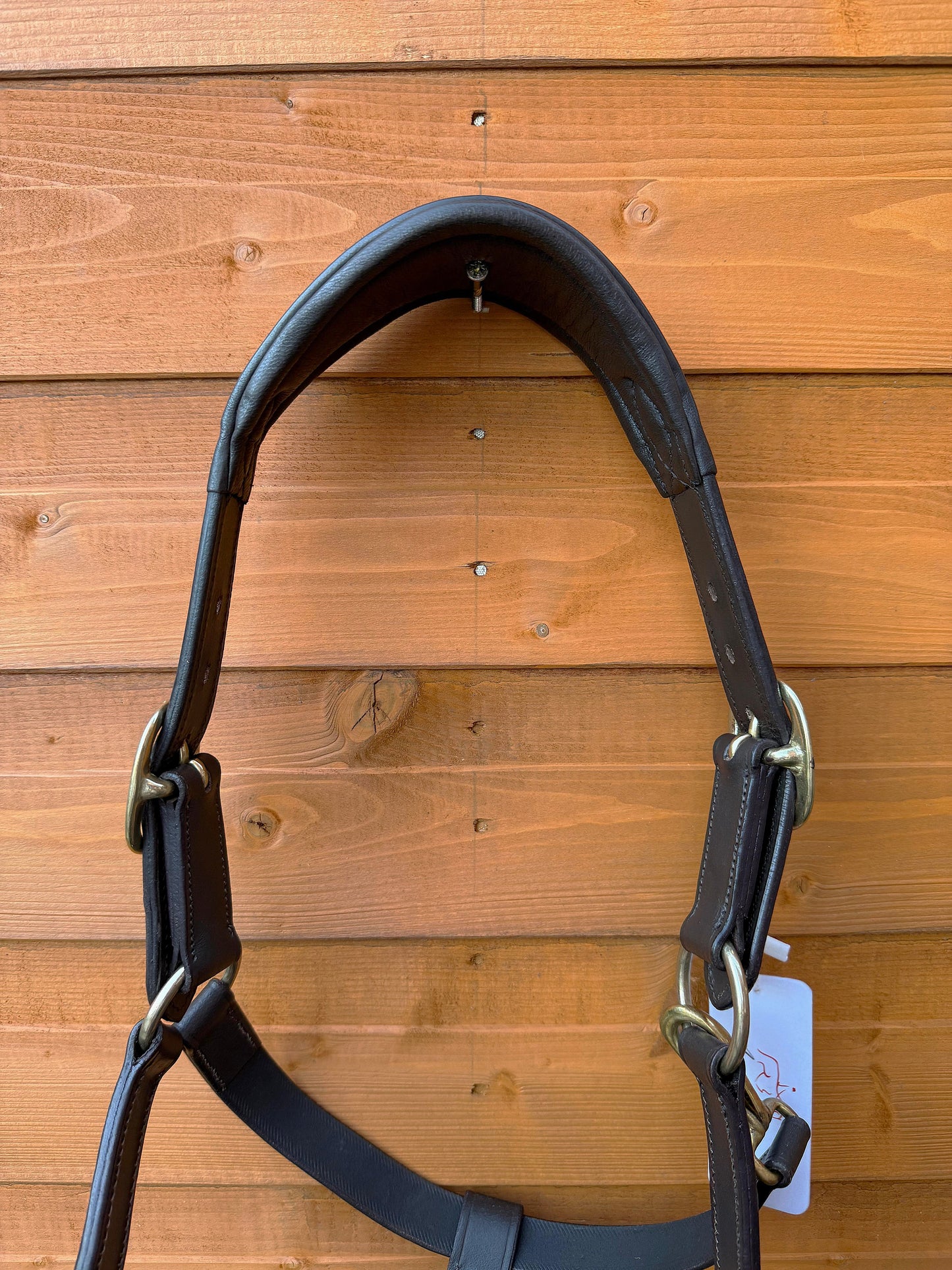 Luxury Handcrafted Leather Horse Halter Headcollar Anatomical Design with Solid Brass Accents And Soft Padding Brown Color 1