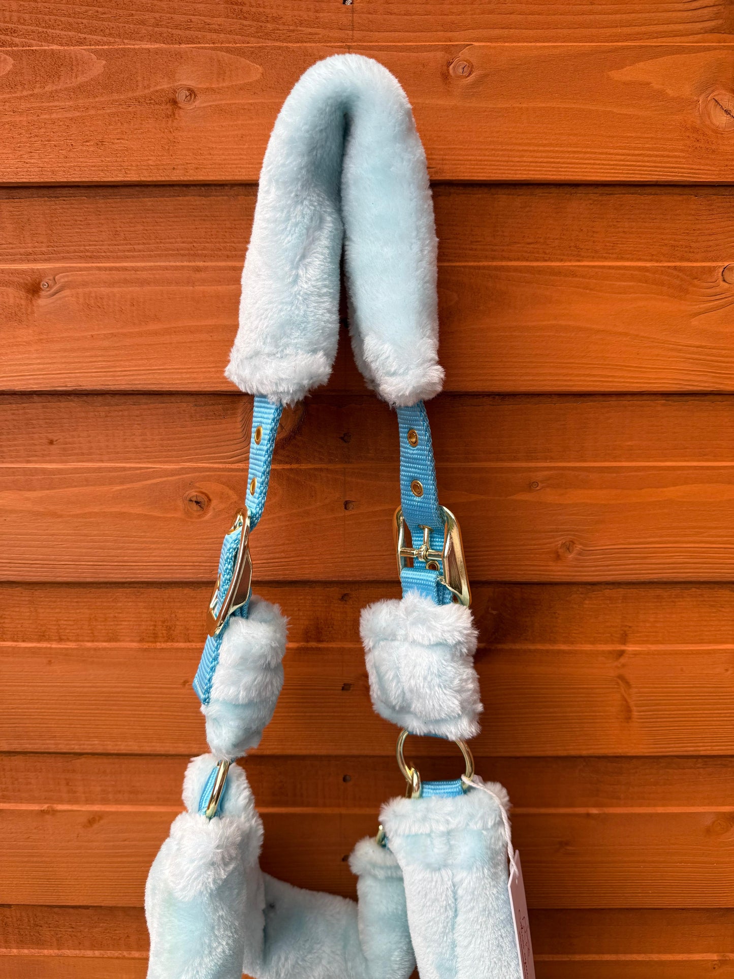 Mink Nylon Horse Halter Headcollar with Free Rope Lead Comfort Fit With Mink Padding Ice Blue