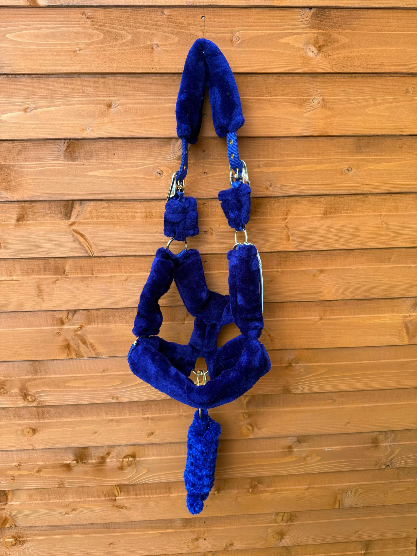 Mink Nylon Horse Halter Headcollar with Free Rope Lead Comfort Fit With Mink Padding Royal Blue