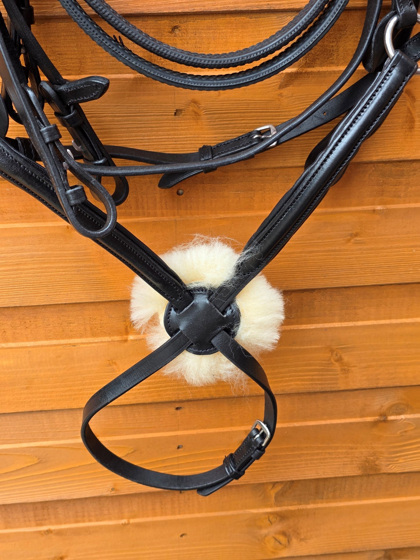 Premium Leather Mexican Grackle Bridle Black Soft Padded