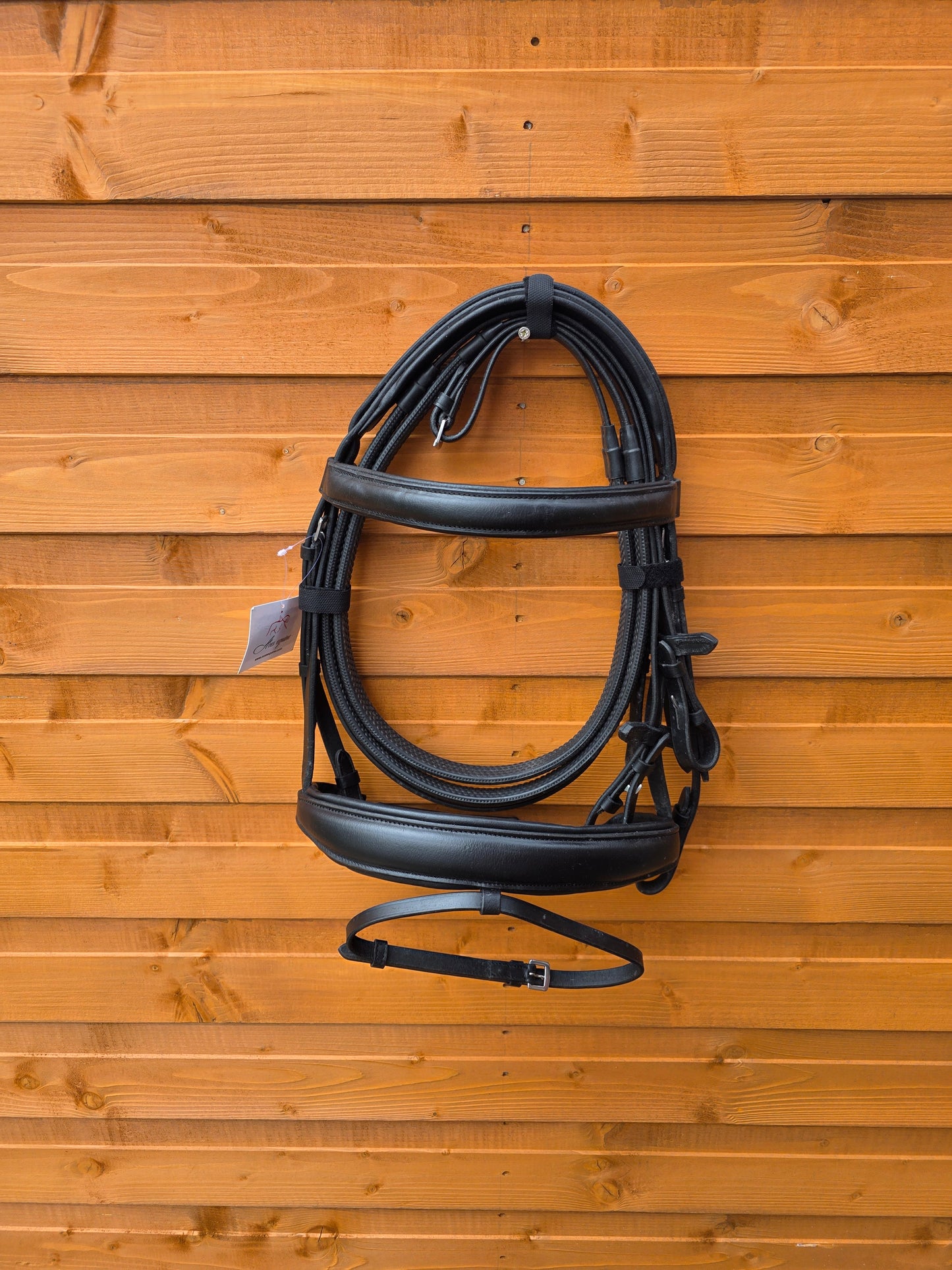 Premium Europa Comfort Padded Bridle Black Color with 1 Inch Browband and 1.5 Inch Noseband