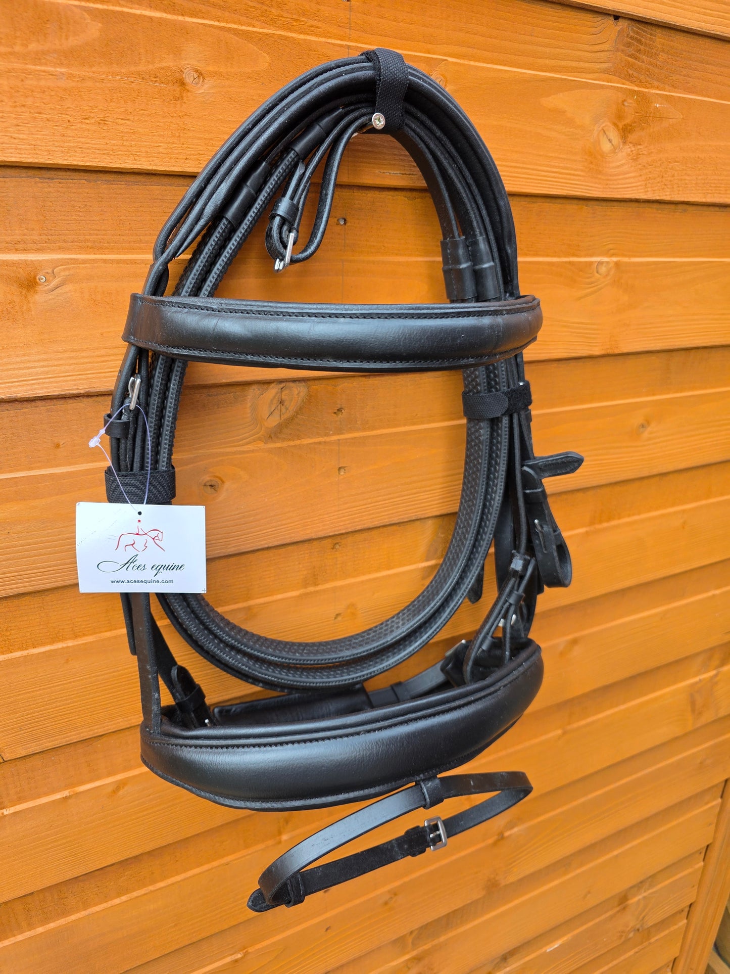 Premium Europa Comfort Padded Bridle Black Color with 1 Inch Browband and 1.5 Inch Noseband