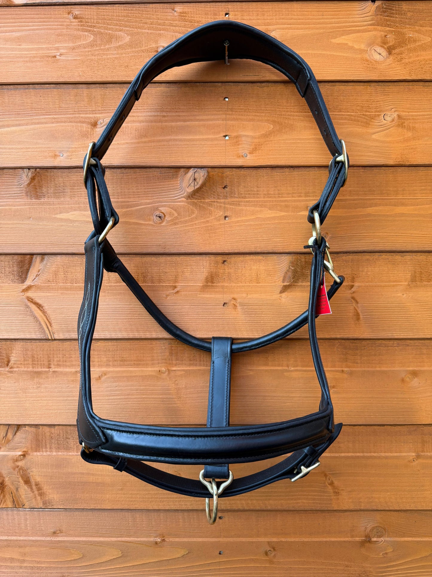 Premium Leather Anatomical Horse Black Headcollar with Brass Fittings and Padding