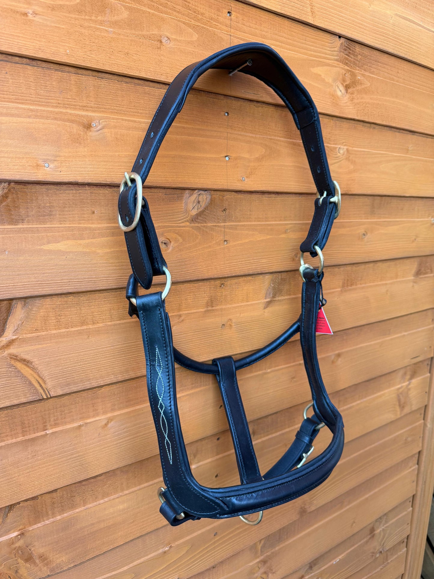 Premium Leather Anatomical Horse Black Headcollar with Brass Fittings and Padding