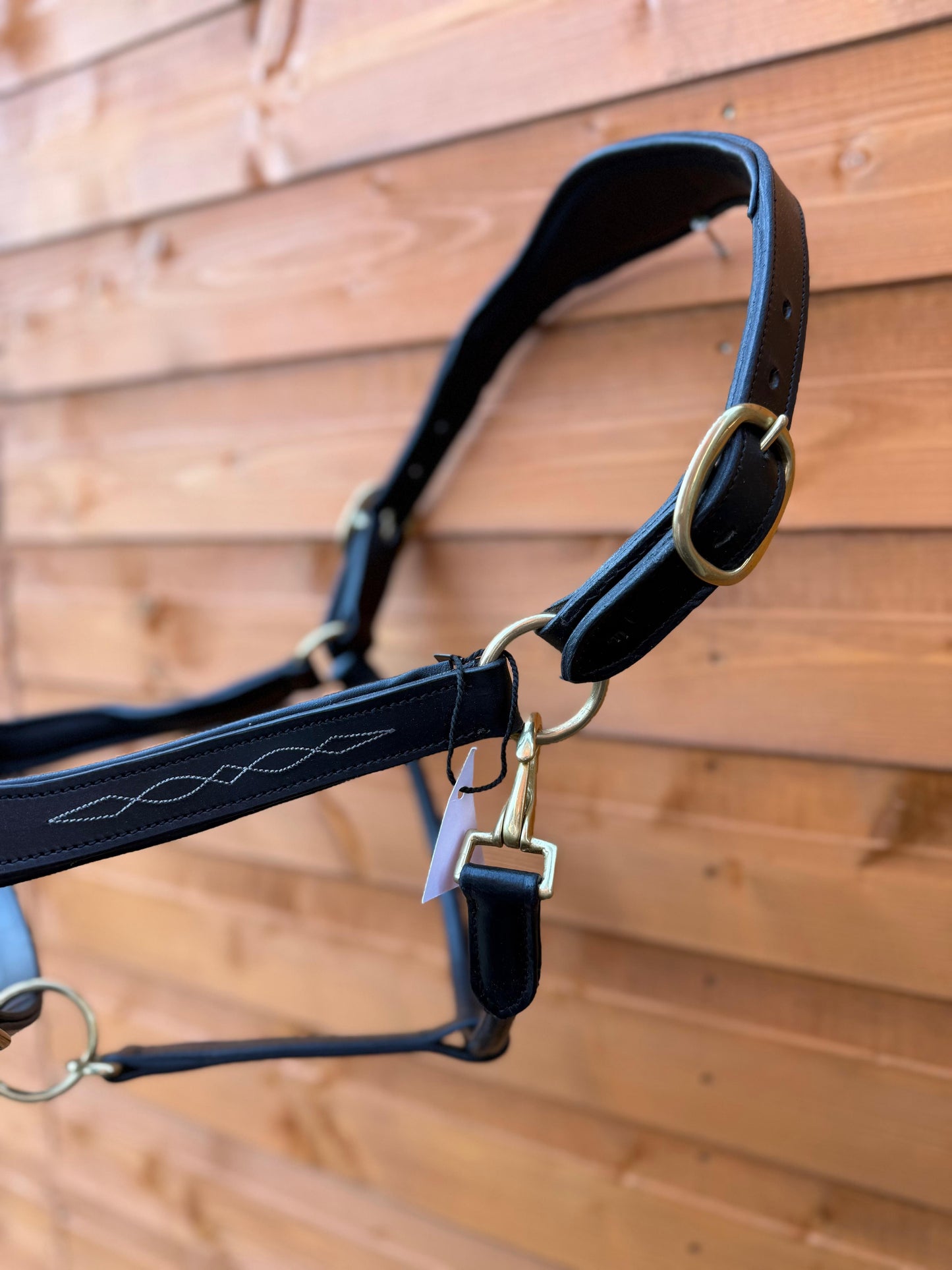Premium Leather Anatomical Horse Black Headcollar with Brass Fittings and Padding