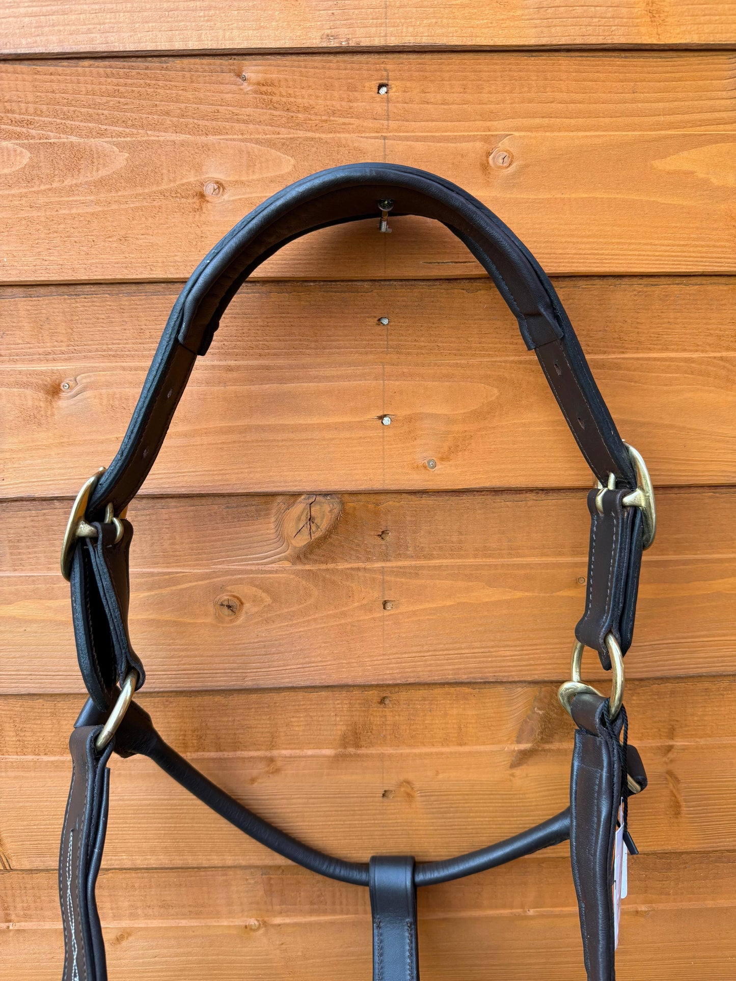 Premium Leather Anatomical Horse Brown Headcollar with Brass Fittings and Padding
