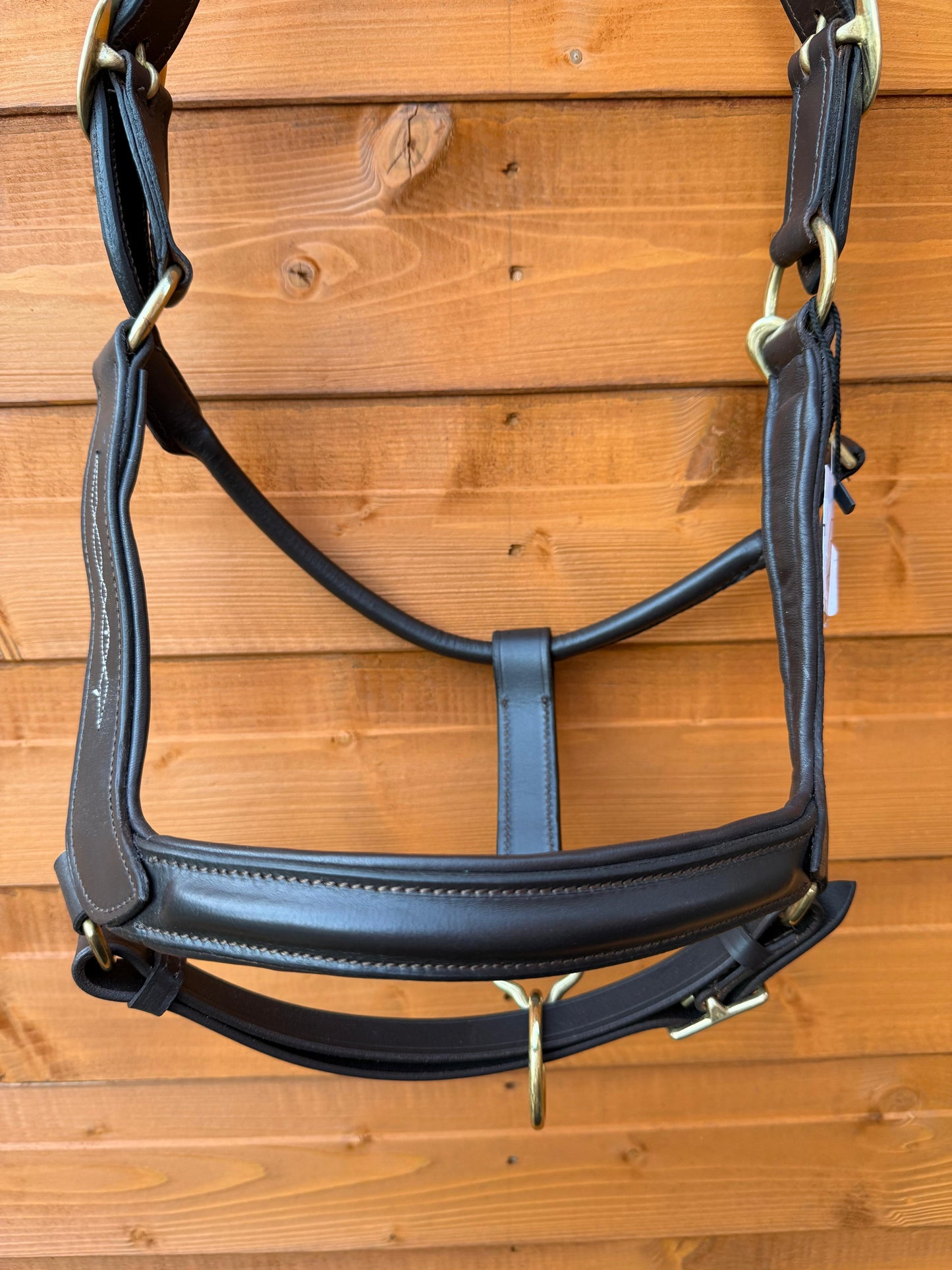 Premium Leather Anatomical Horse Brown Headcollar with Brass Fittings and Padding