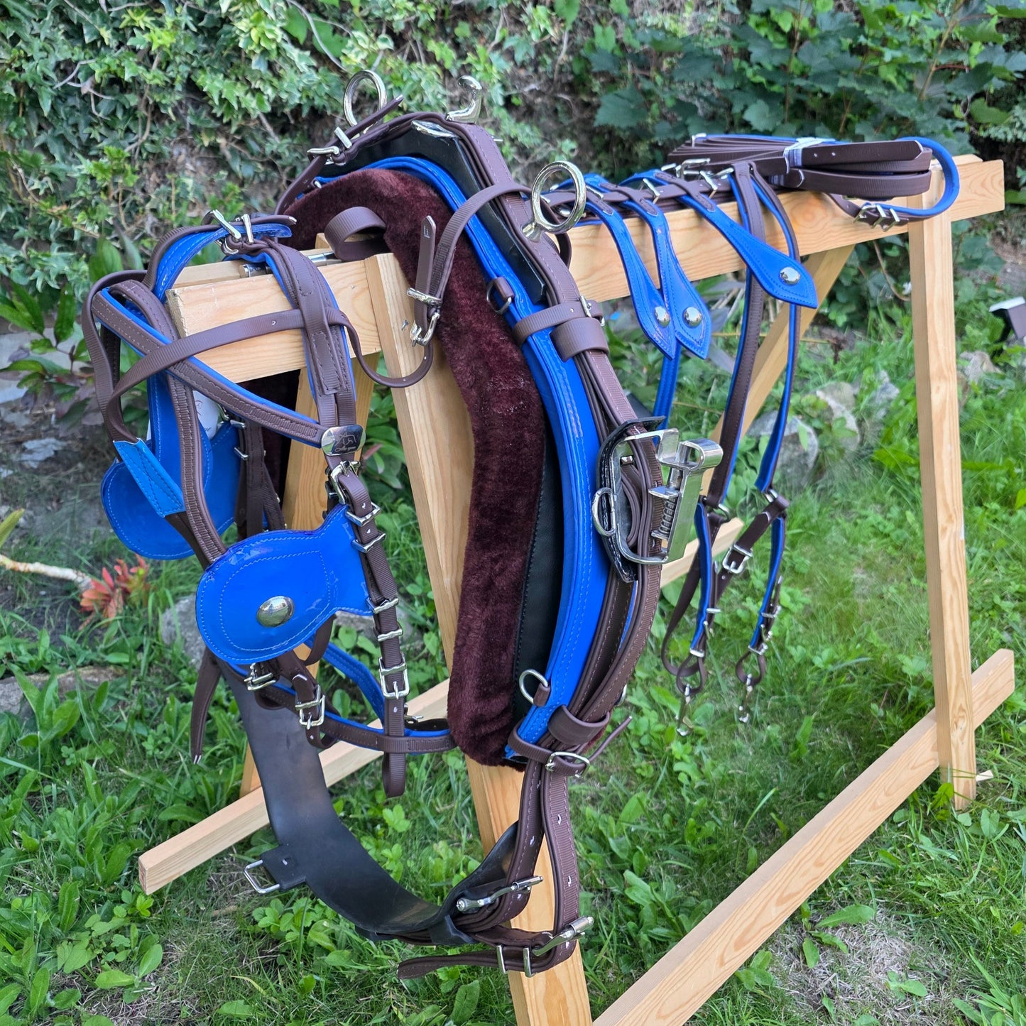 Quick Hitch Trotting Harness Brown And Blue