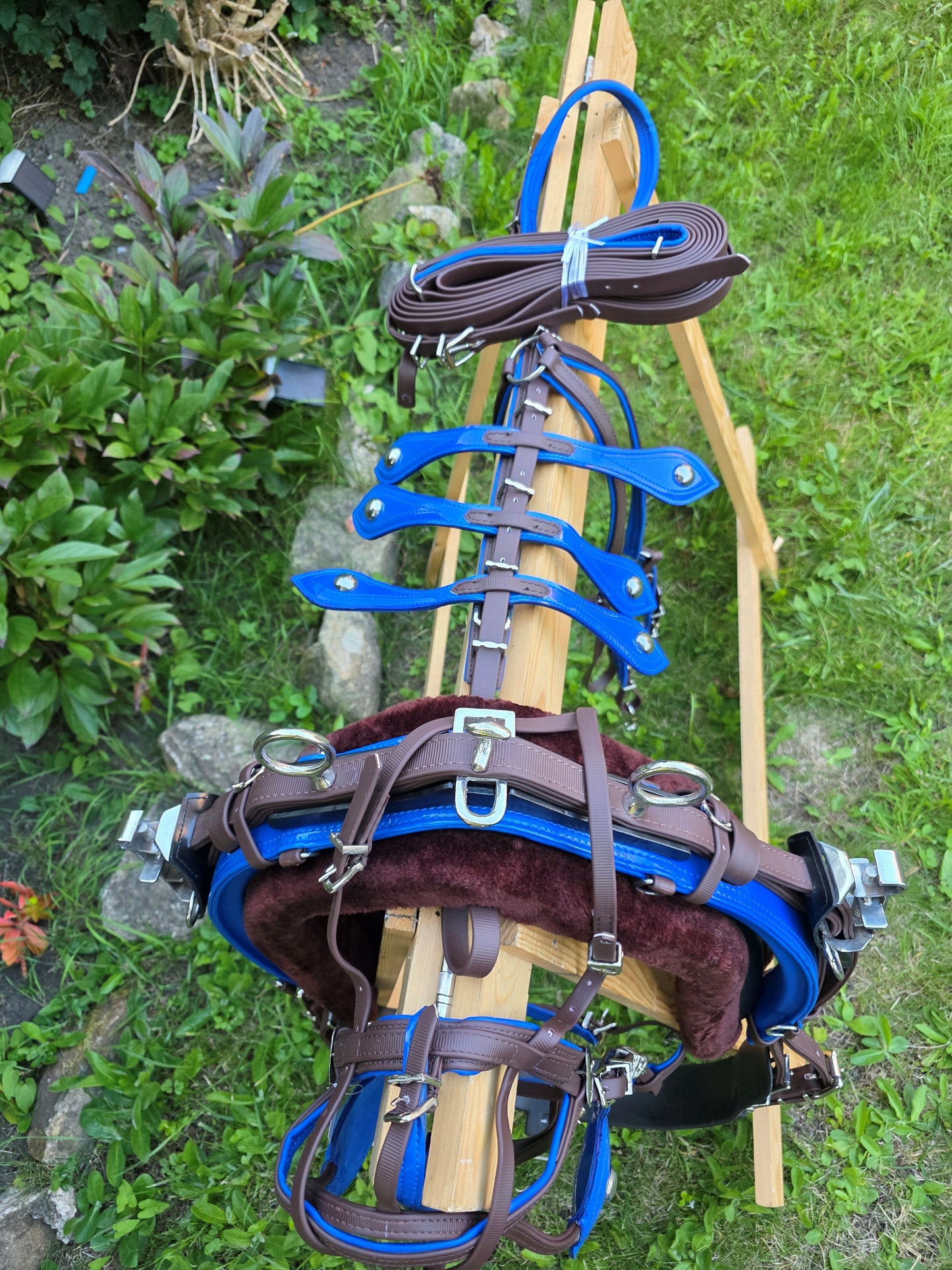 Quick Hitch Trotting Harness Brown And Blue
