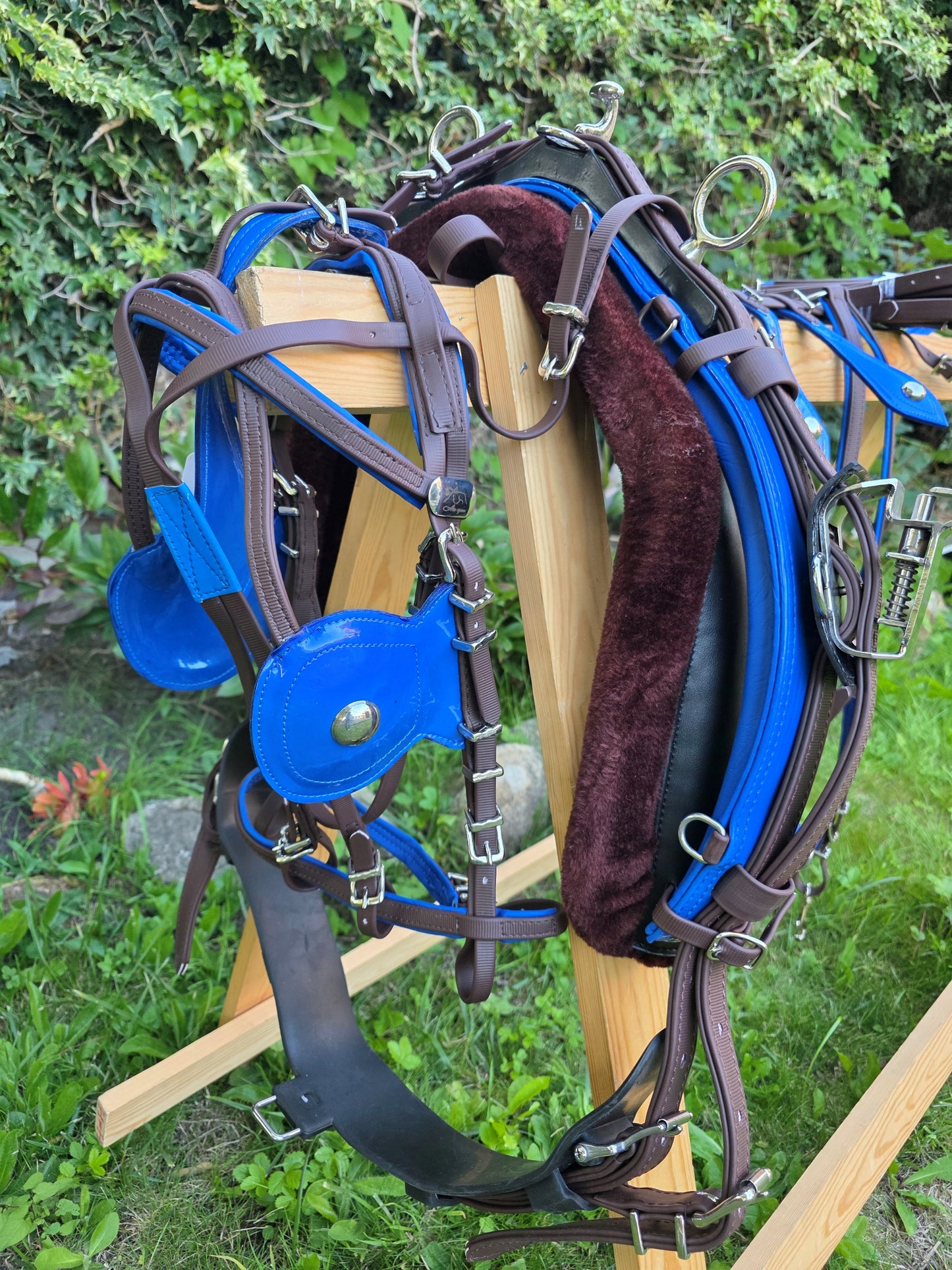Quick Hitch Trotting Harness Brown And Blue
