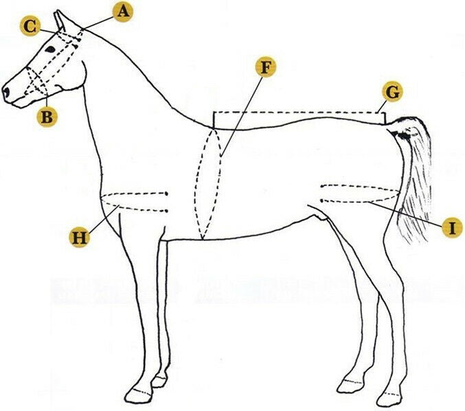 Nylon Driving Harness set Brown and Yellow size Full Cob Pony Shetland Mini Shetland and Miniature