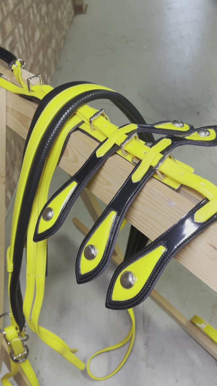 A yellow and black breeching harness with soft bio-thane padding, horse shoe buckle, and square winkers