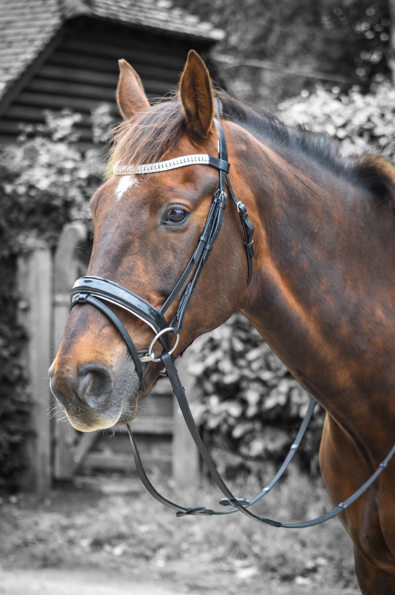 HORSE DIAMANTE DRESSAGE BRIDLE LEATHER.jpg
