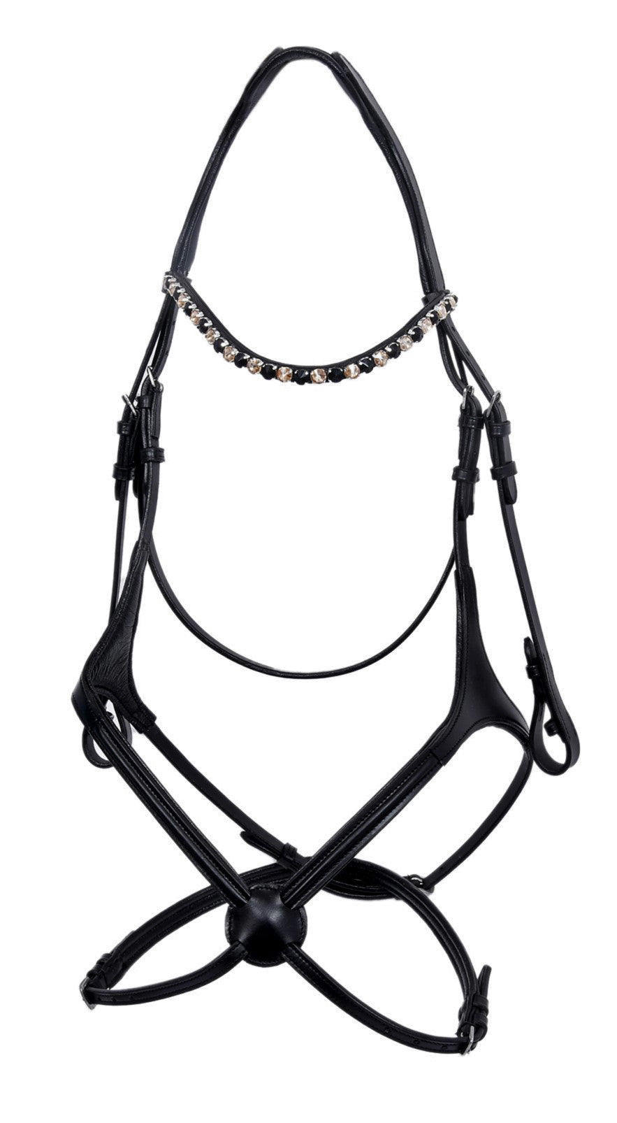 BLACK GRACKLE BRIDLE.JPG