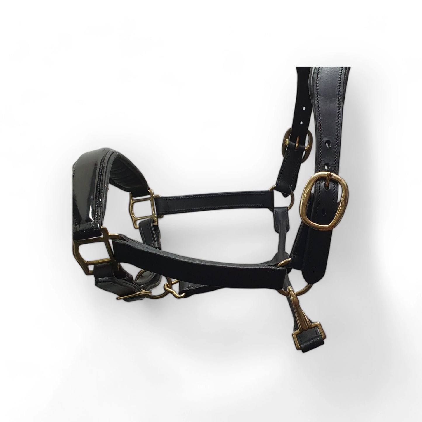 Leather Head Collar Halter Padded with Patent Noseband and Wide Headband Black
