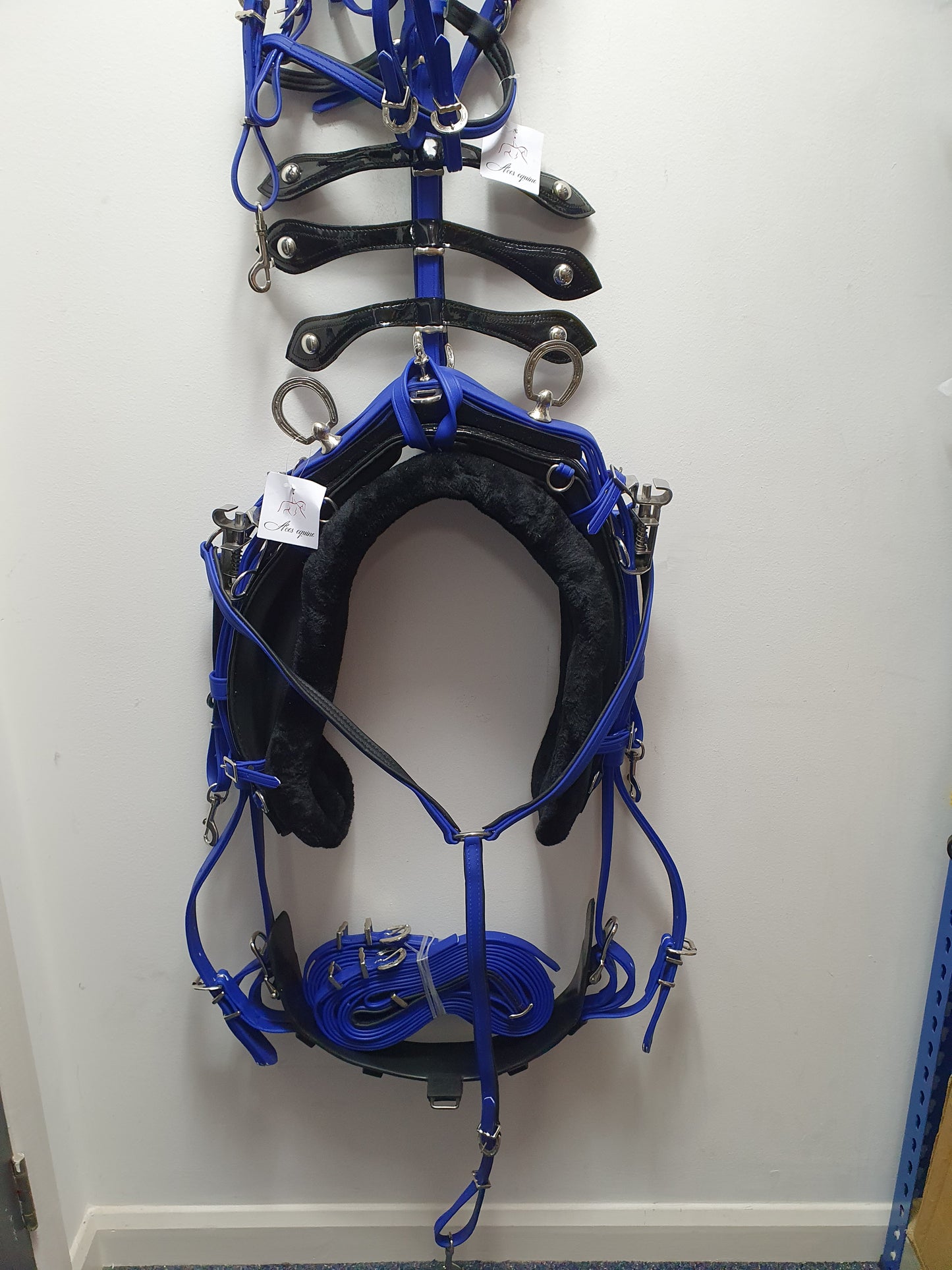 Quick Hitch Harness with Horse shoe fitting Blue and Black