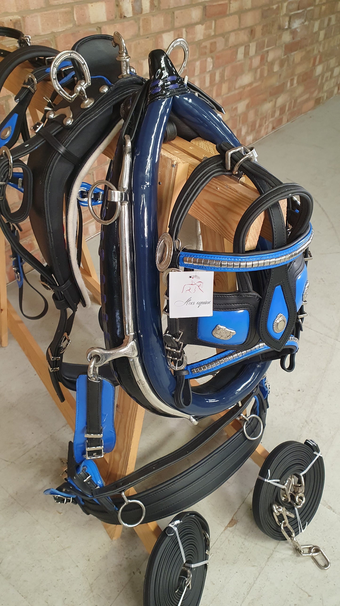 Trade Breeching Harness Black and Blue Cob
