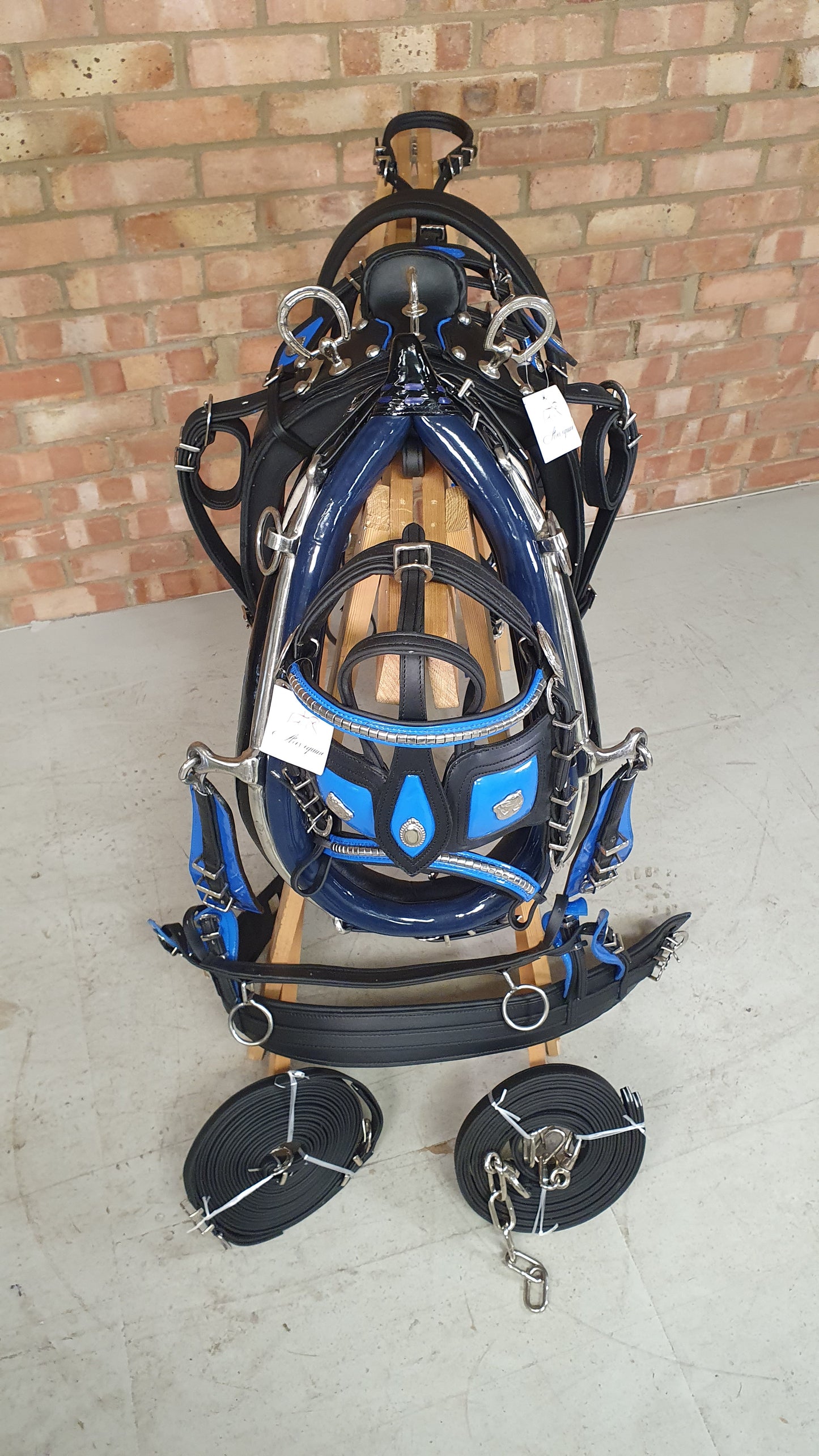 Trade Breeching Harness Black and Blue Cob