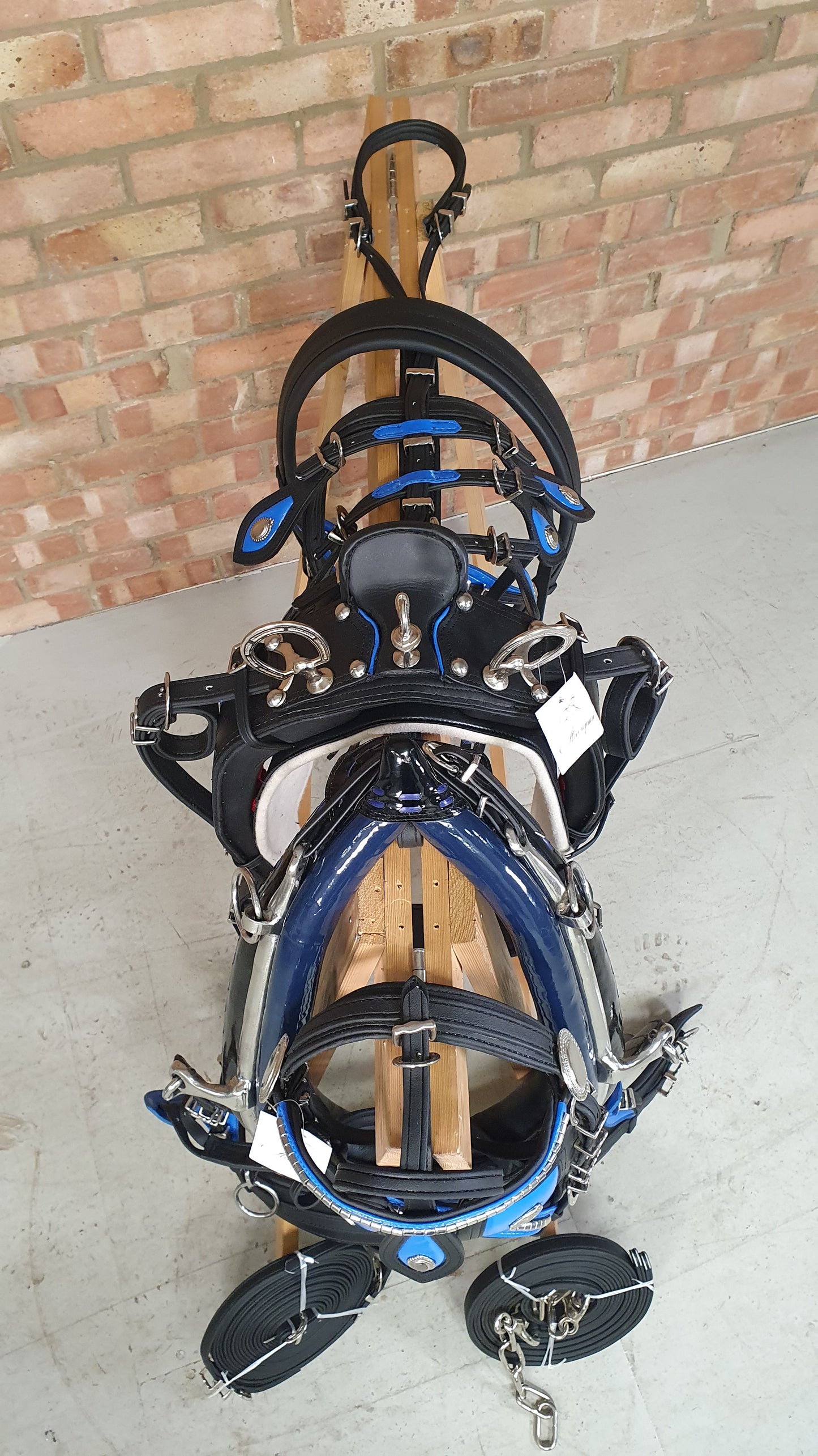 Trade Breeching Harness Black and Blue Cob