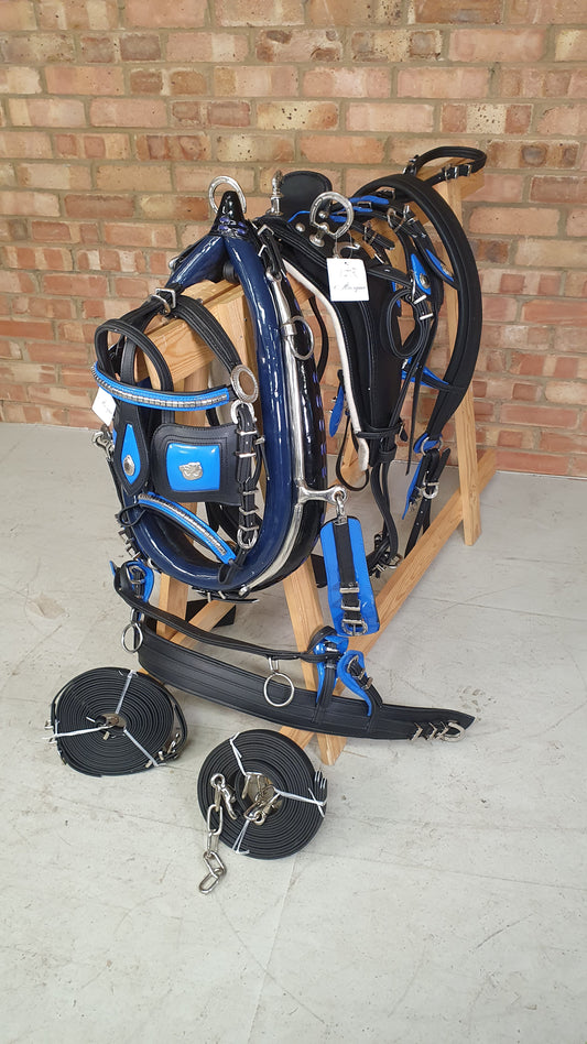 Trade Breeching Harness Black and Blue Cob