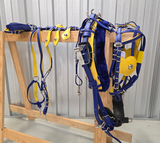 Quick hitch horse harness Blue and Yellow