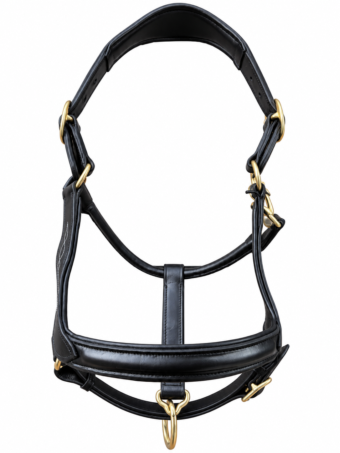 Leather Anatomical Halter Black Headcollar with Brass Fittings and Padding