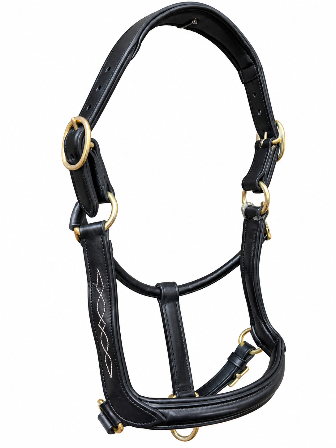 Leather Anatomical Halter Black Headcollar with Brass Fittings and Padding