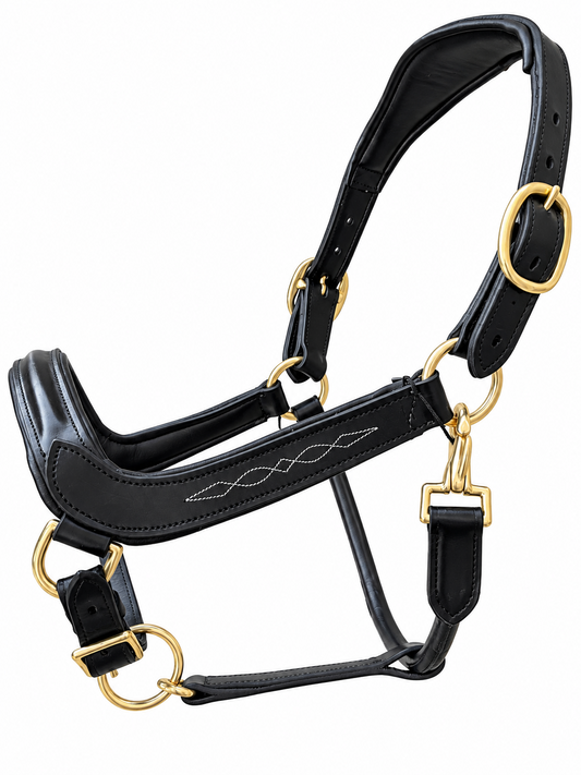 Leather Anatomical Halter Black Headcollar with Brass Fittings and Padding